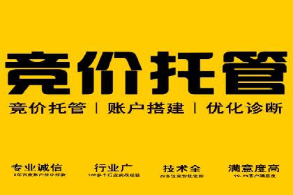 百度竞价包年服务：某行业领导品牌的成功故事